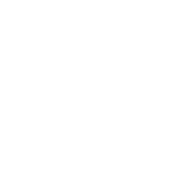 Apex Warrior Logo